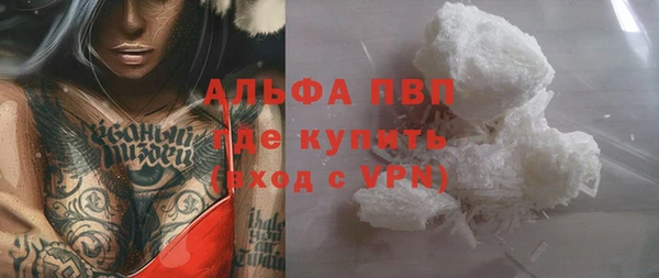 сатива Инта