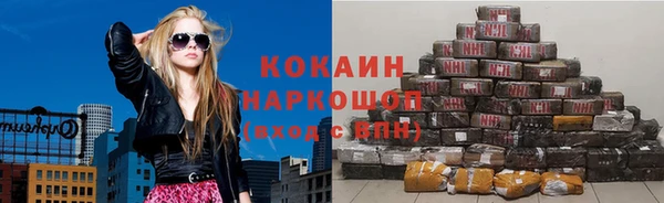 сатива Инта