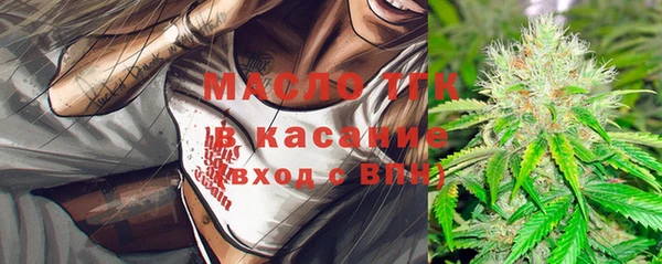 сатива Инта
