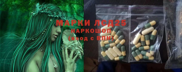 сатива Инта