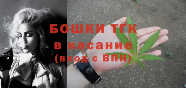 не бодяженный Инсар