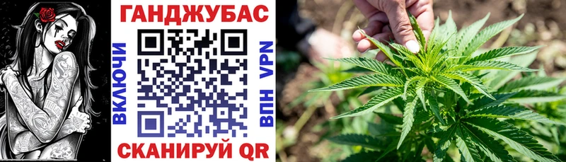 Купить  Гаджиево  Марихуана ГИДРОПОН 